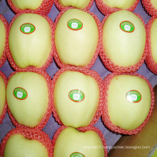 Mature golden apple fruit price